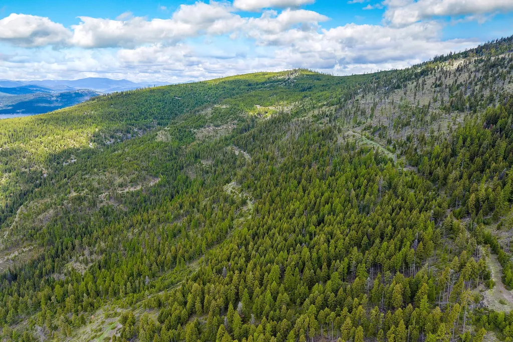 Nhn Idaho Hill Road Marion MT 59925