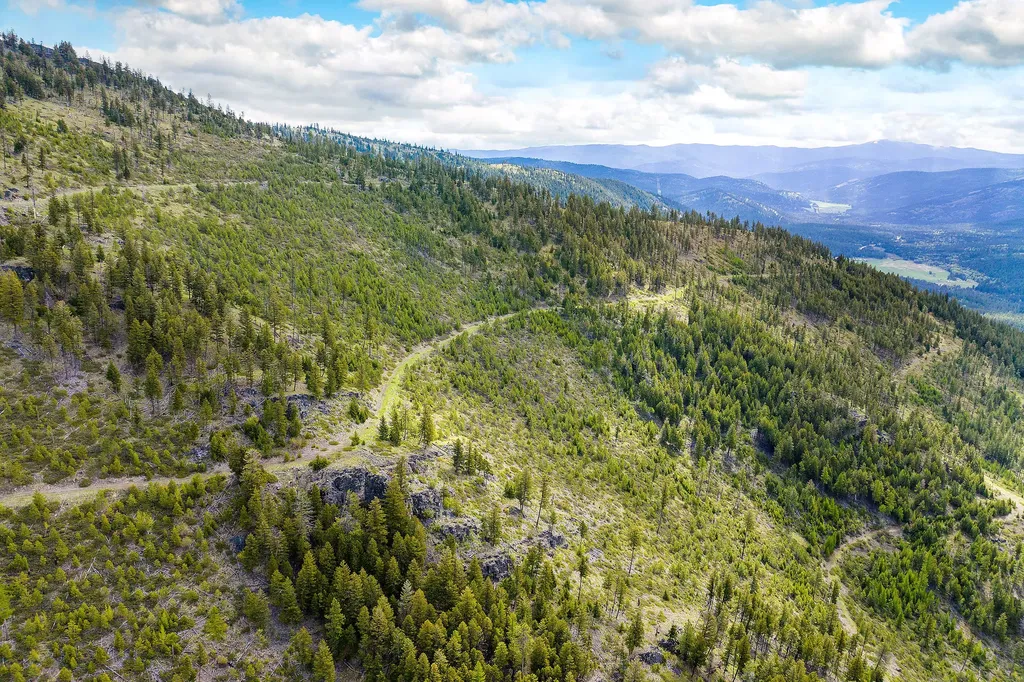 Nhn Idaho Hill Road Marion MT 59925