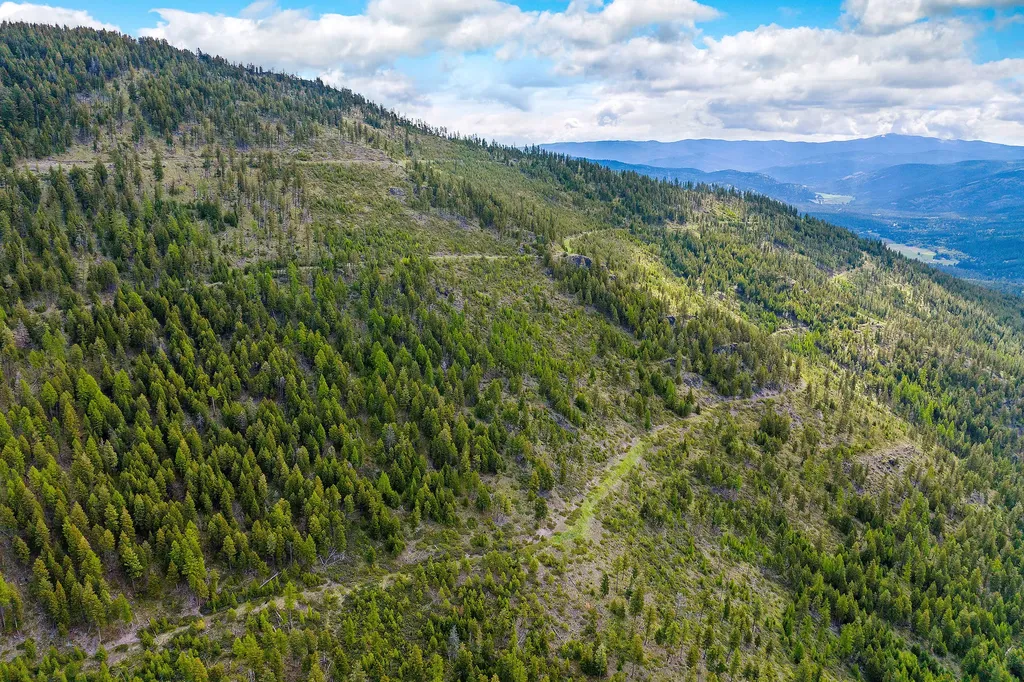 Nhn Idaho Hill Road Marion MT 59925
