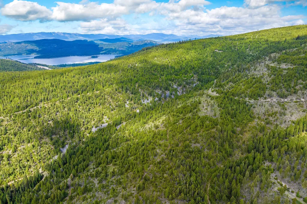 Nhn Idaho Hill Road Marion MT 59925