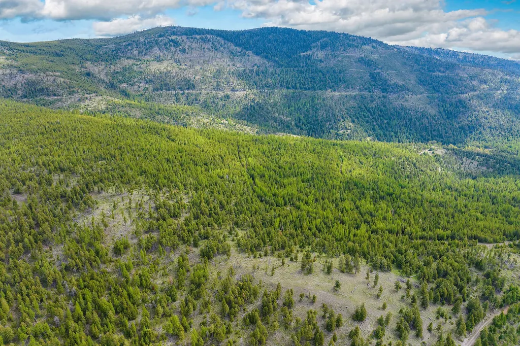 Nhn Idaho Hill Road Marion MT 59925