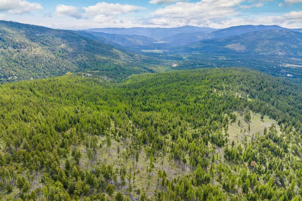 Nhn Idaho Hill Road Marion MT 59925