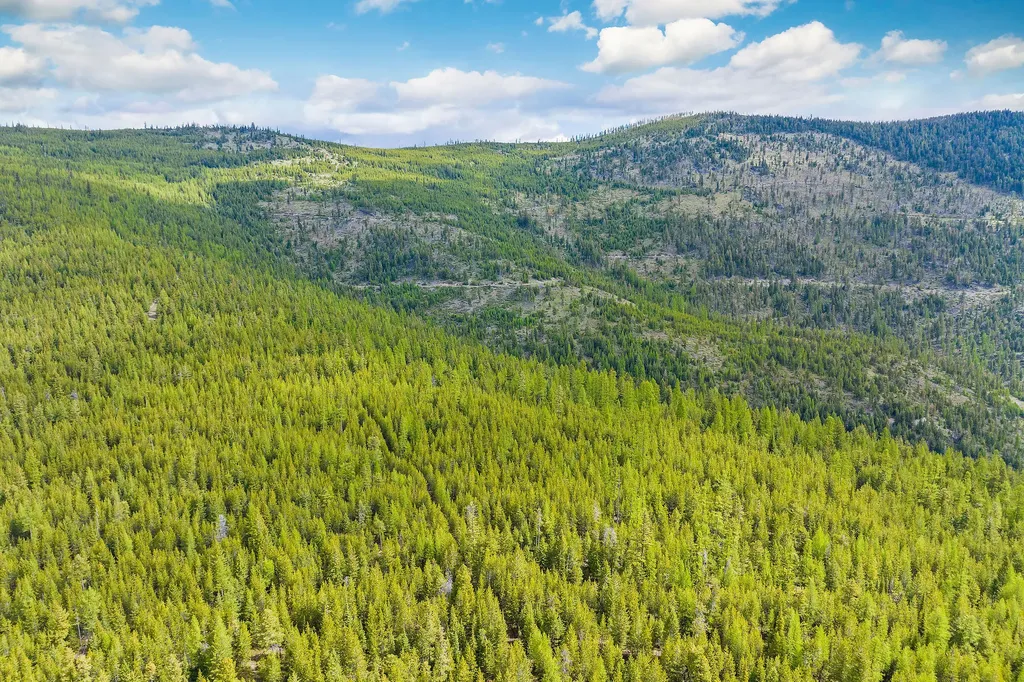 Nhn Idaho Hill Road Marion MT 59925