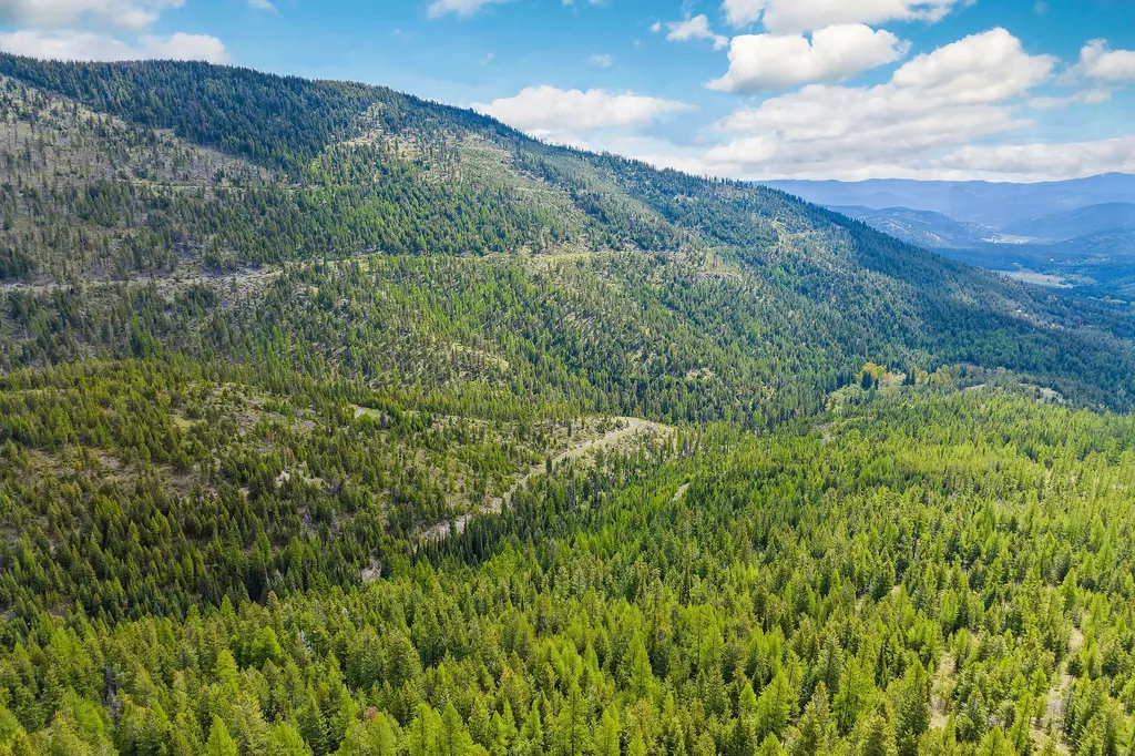 Nhn Idaho Hill Road Marion MT 59925