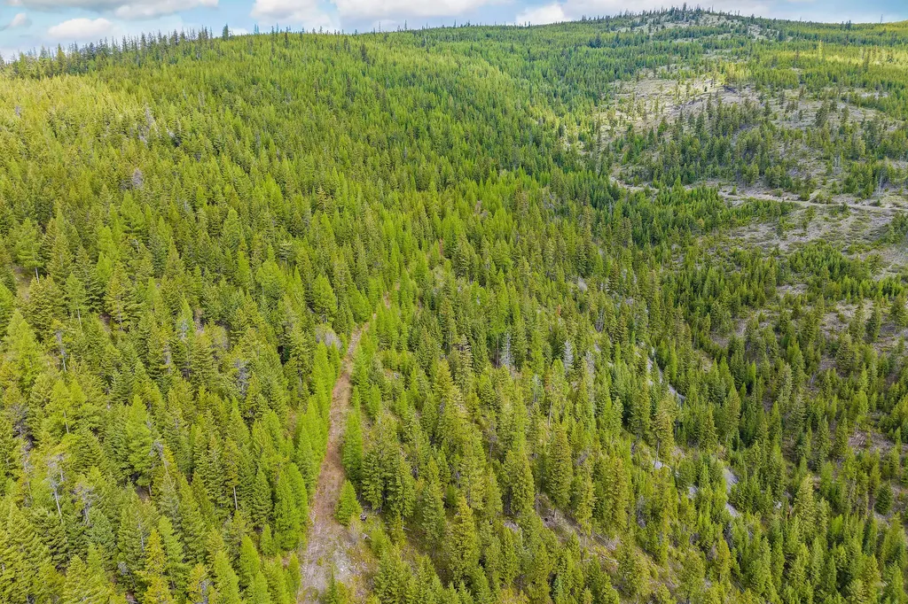 Nhn Idaho Hill Road Marion MT 59925