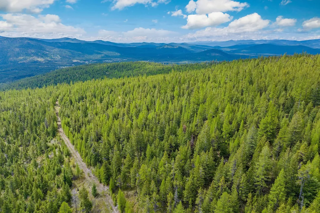 Nhn Idaho Hill Road Marion MT 59925