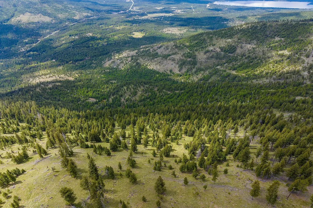 Nhn Idaho Hill Road Marion MT 59925