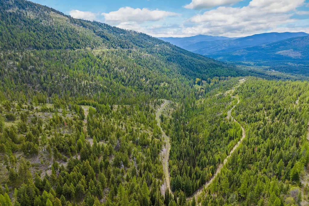 Nhn Idaho Hill Road Marion MT 59925