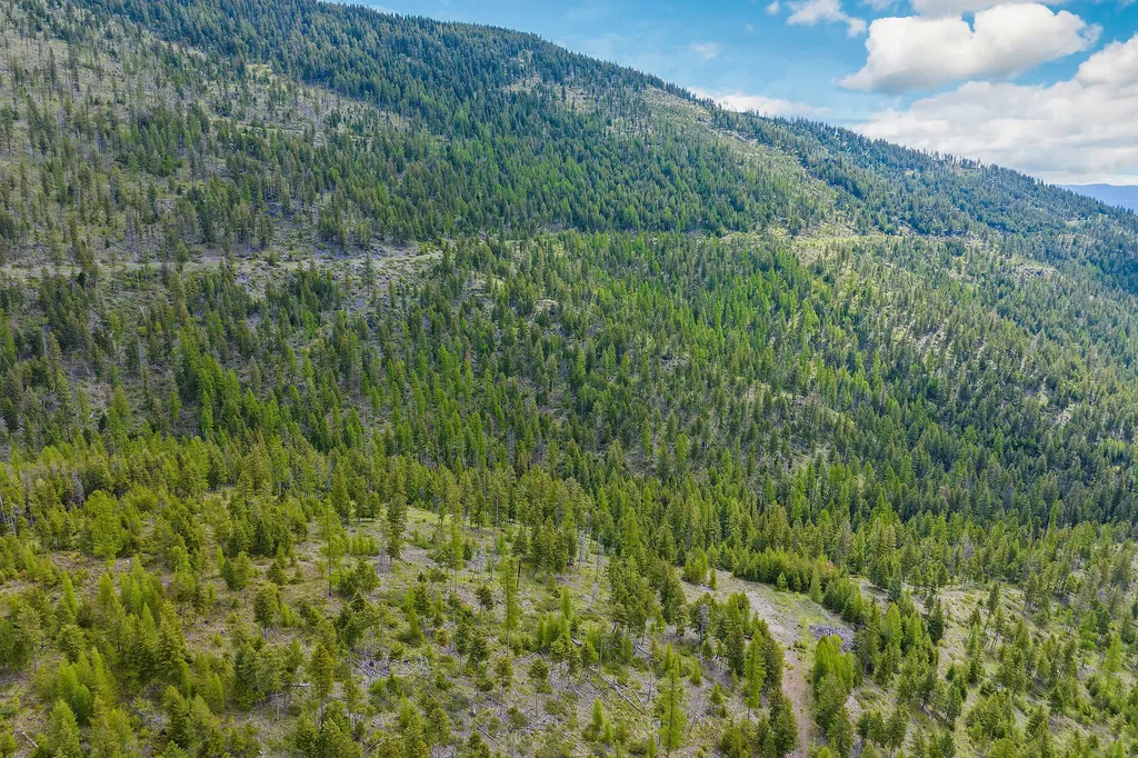 Nhn Idaho Hill Road Marion MT 59925