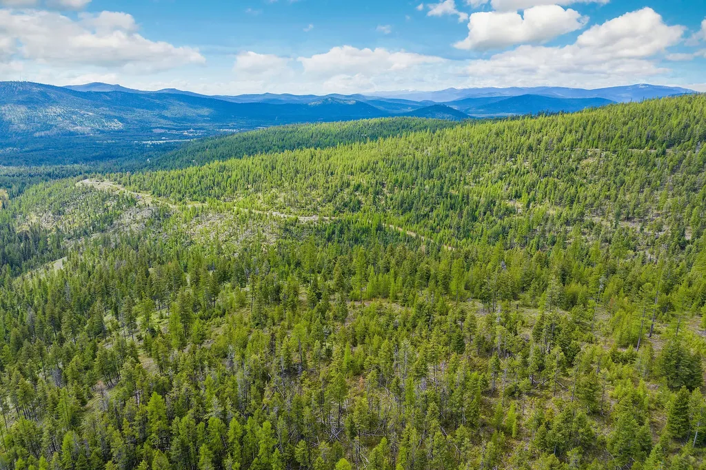 Nhn Idaho Hill Road Marion MT 59925