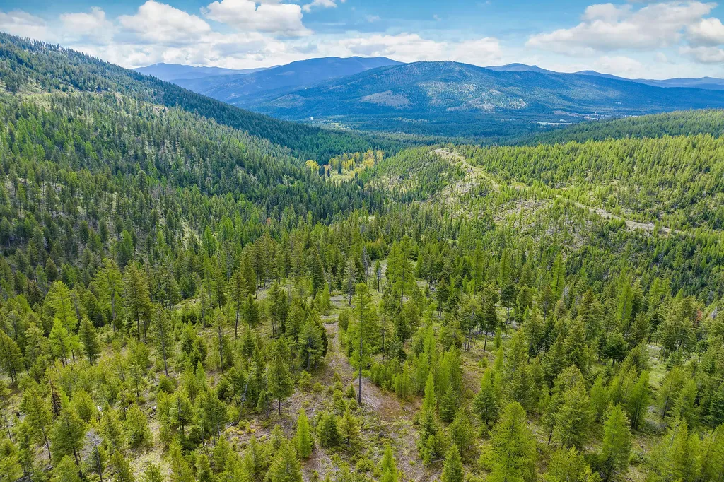 Nhn Idaho Hill Road Marion MT 59925