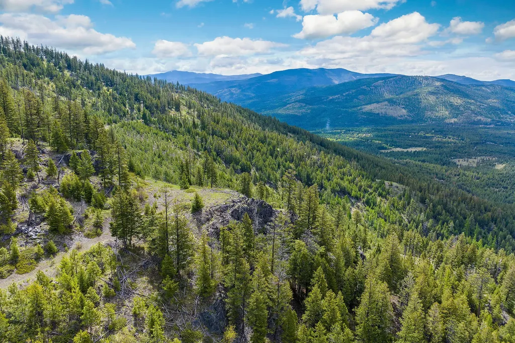 Nhn Idaho Hill Road Marion MT 59925