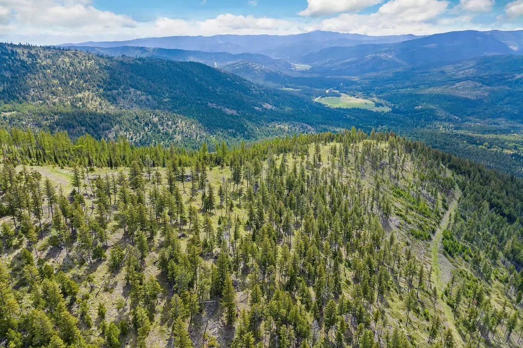 Nhn Idaho Hill Road Marion MT 59925