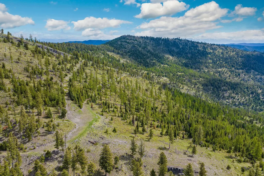 Nhn Idaho Hill Road Marion MT 59925