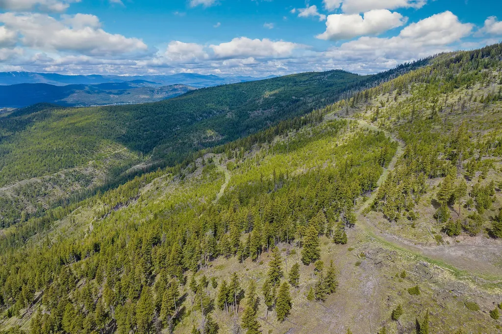 Nhn Idaho Hill Road Marion MT 59925