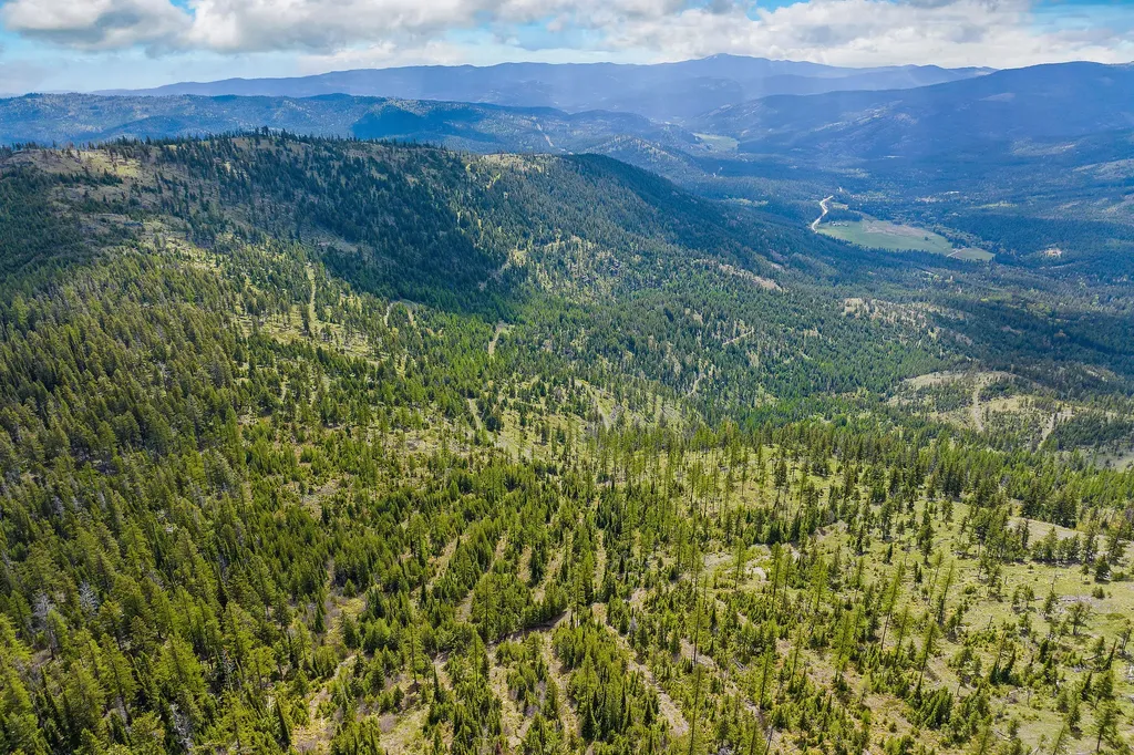 Nhn Idaho Hill Road Marion MT 59925
