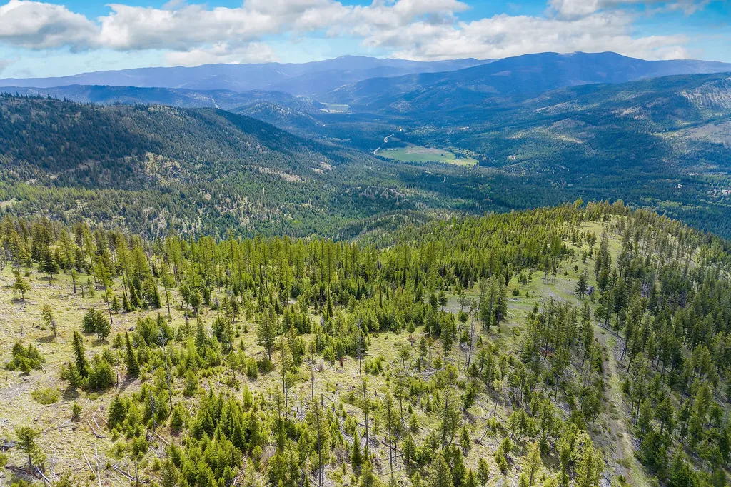 Nhn Idaho Hill Road Marion MT 59925