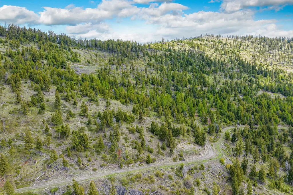 Nhn Idaho Hill Road Marion MT 59925