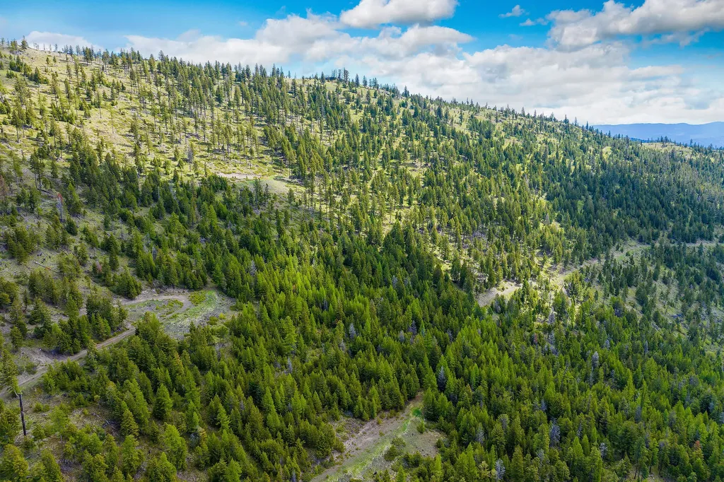 Nhn Idaho Hill Road Marion MT 59925