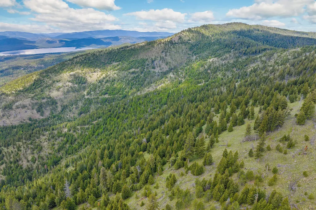 Nhn Idaho Hill Road Marion MT 59925