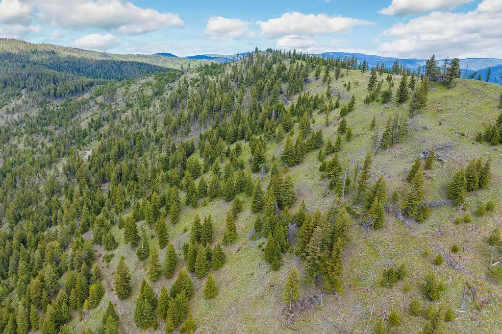Nhn Idaho Hill Road Marion MT 59925
