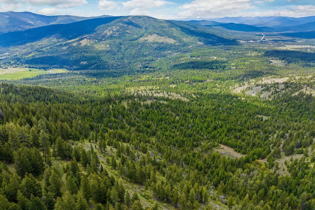 Nhn Idaho Hill Road Marion MT 59925