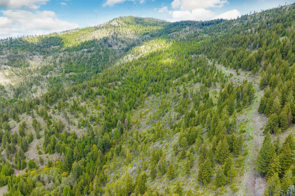 Nhn Idaho Hill Road Marion MT 59925