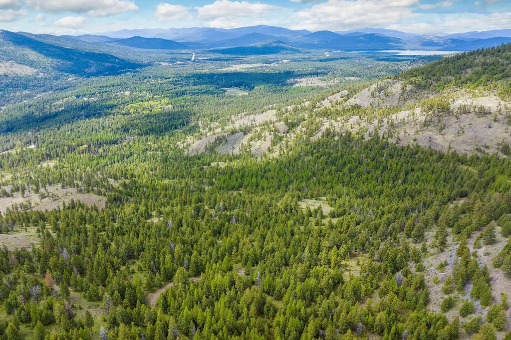 Nhn Idaho Hill Road Marion MT 59925
