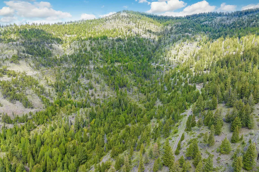Nhn Idaho Hill Road Marion MT 59925