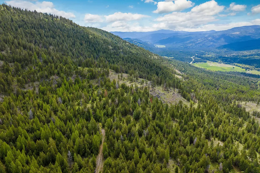 Nhn Idaho Hill Road Marion MT 59925