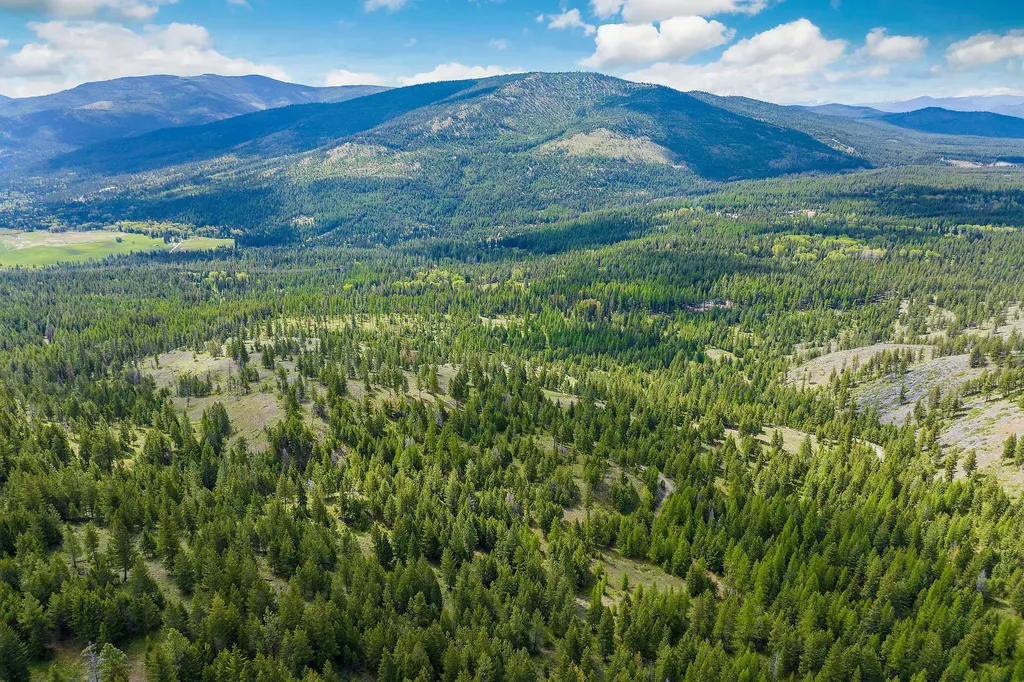 Nhn Idaho Hill Road Marion MT 59925