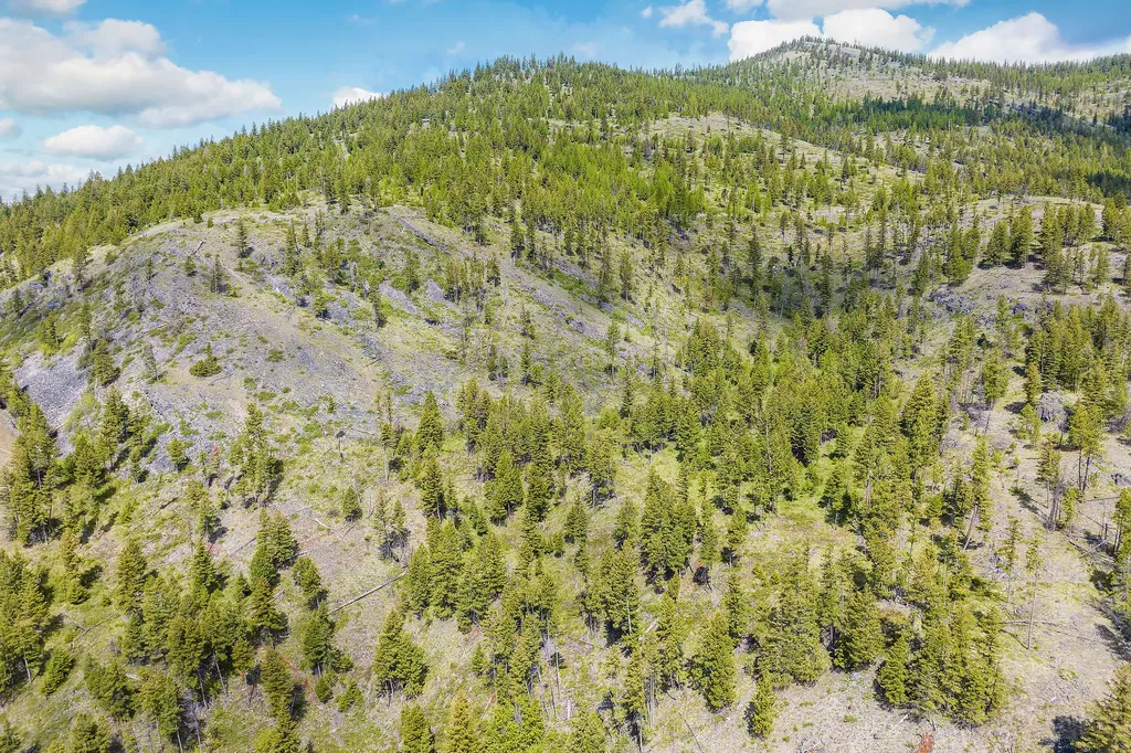 Nhn Idaho Hill Road Marion MT 59925