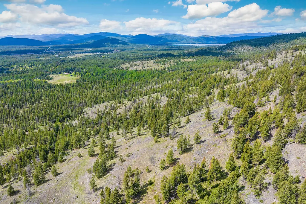 Nhn Idaho Hill Road Marion MT 59925