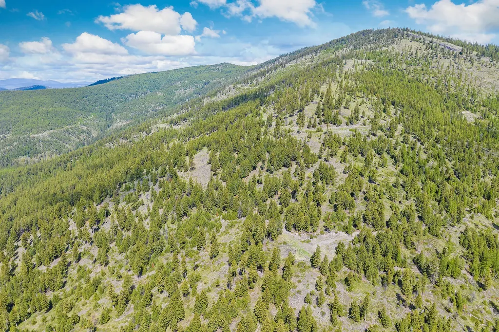 Nhn Idaho Hill Road Marion MT 59925