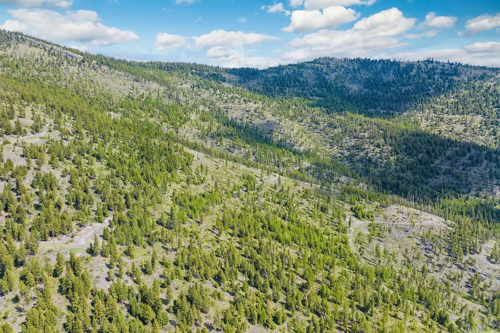 Nhn Idaho Hill Road Marion MT 59925
