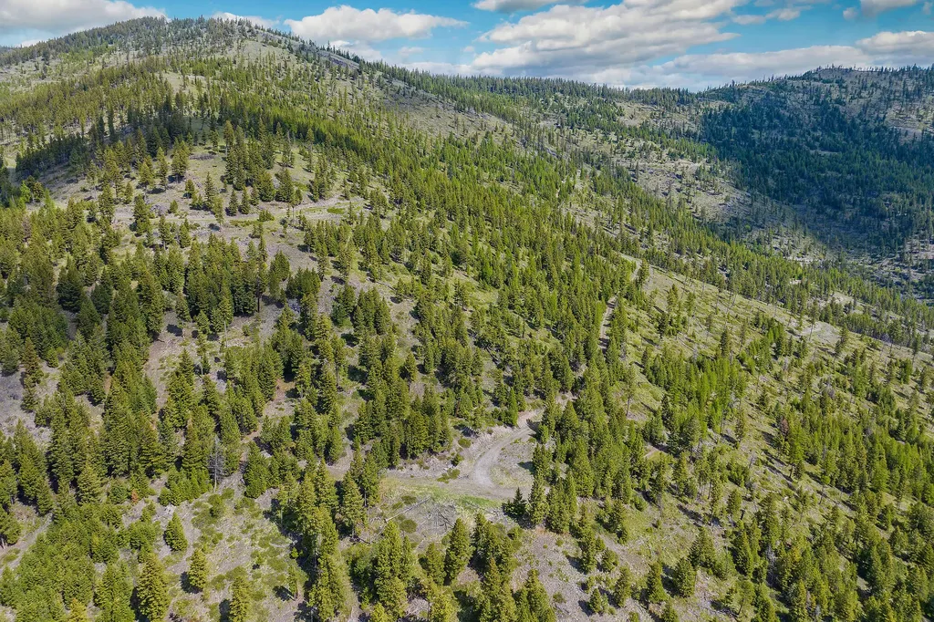 Nhn Idaho Hill Road Marion MT 59925
