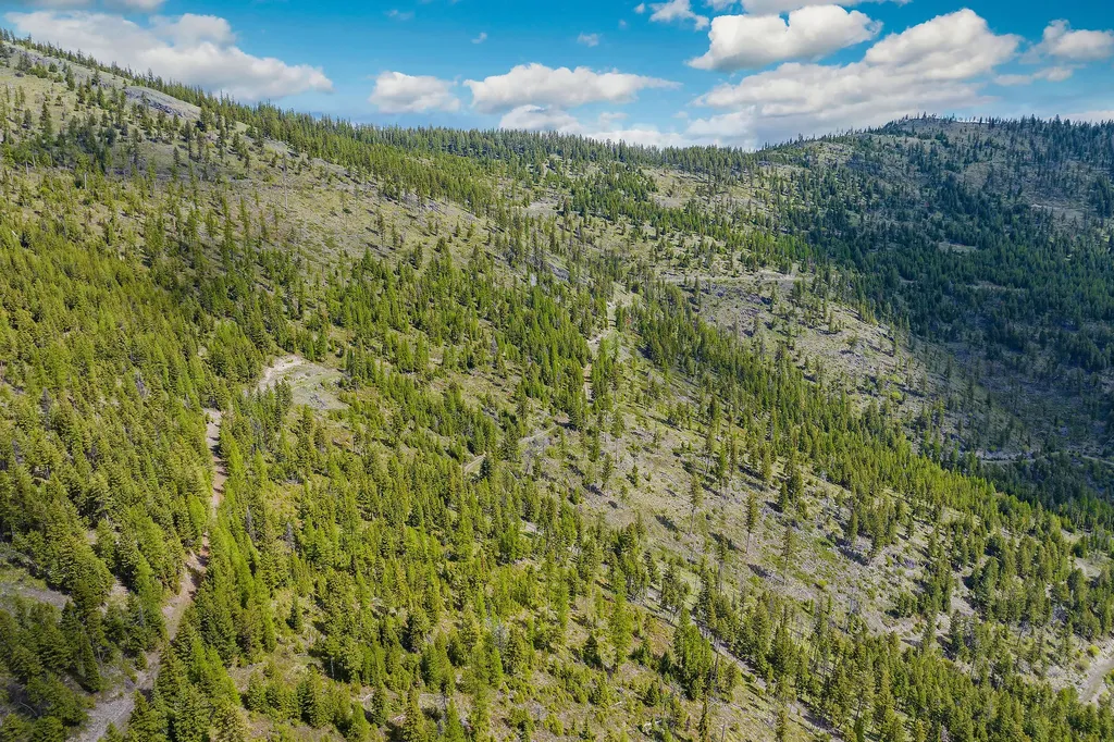 Nhn Idaho Hill Road Marion MT 59925