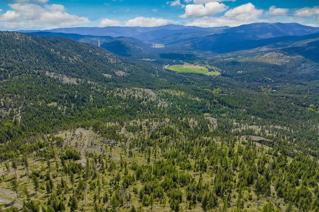 Nhn Idaho Hill Road Marion MT 59925