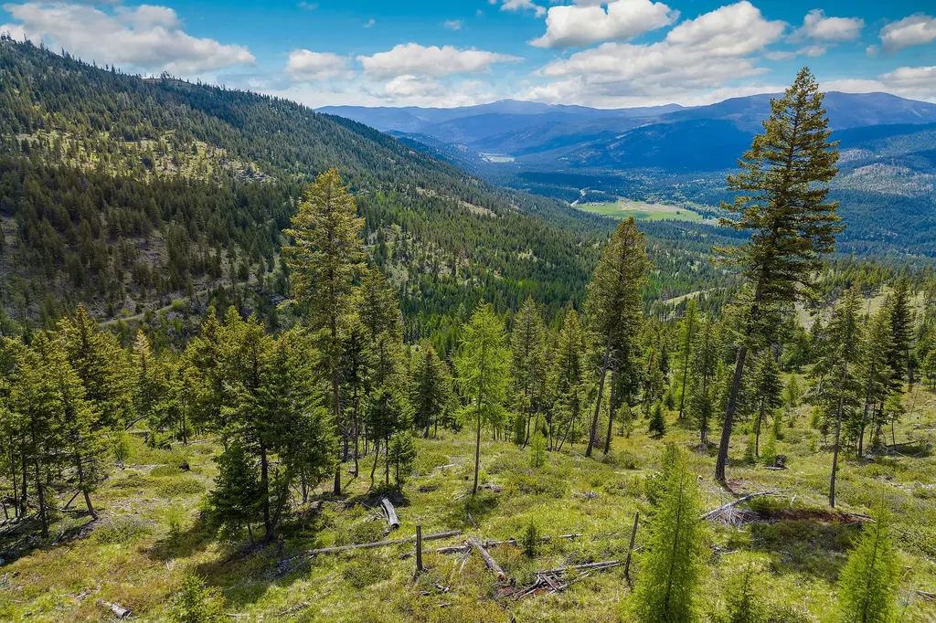 Nhn Idaho Hill Road Marion MT 59925