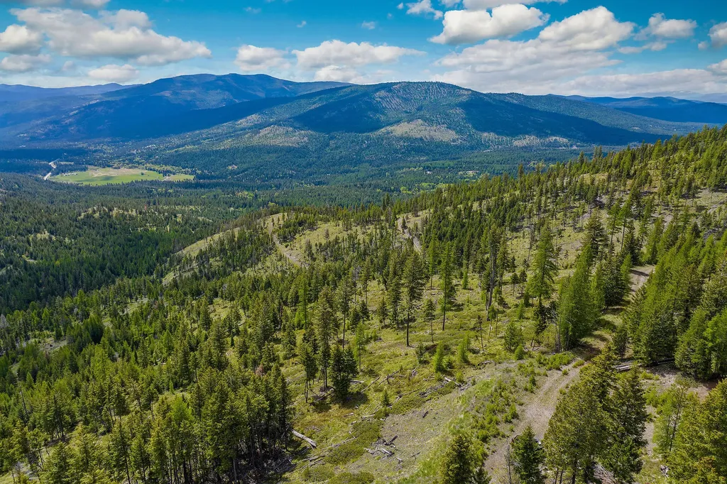 Nhn Idaho Hill Road Marion MT 59925