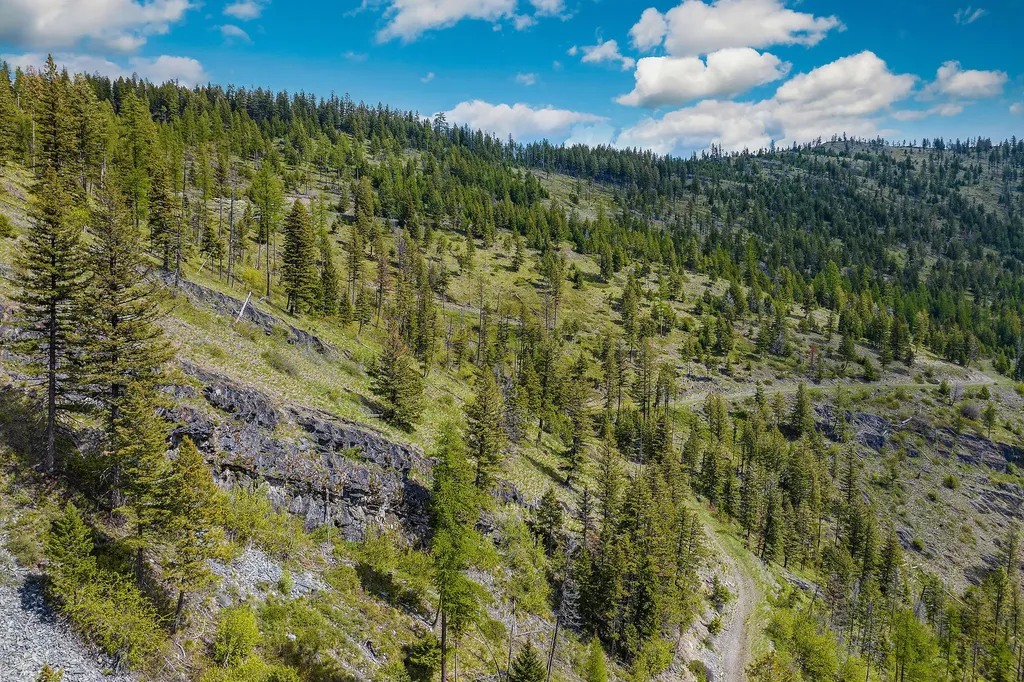 Nhn Idaho Hill Road Marion MT 59925