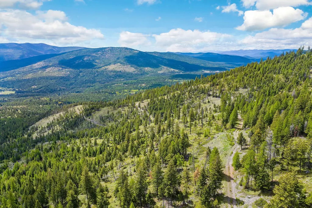 Nhn Idaho Hill Road Marion MT 59925