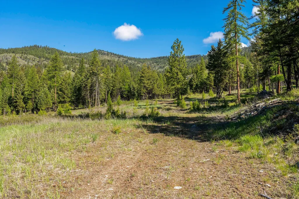 Nhn Idaho Hill Road Marion MT 59925