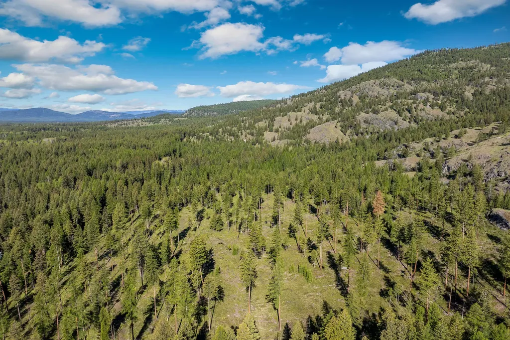 Nhn Idaho Hill Road Marion MT 59925