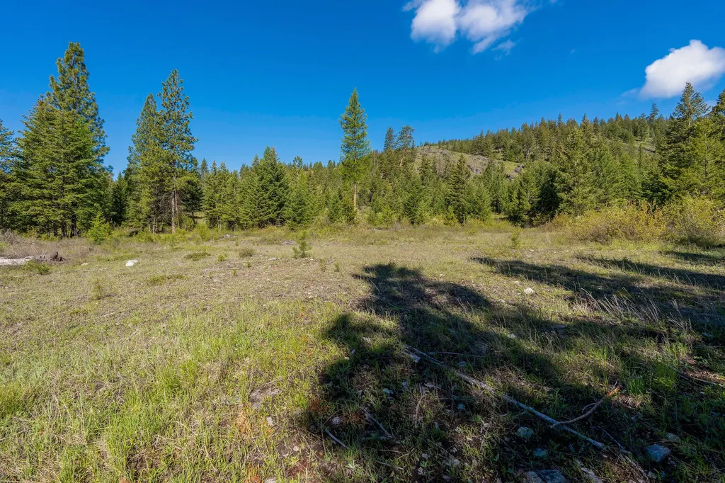 Nhn Idaho Hill Road Marion MT 59925