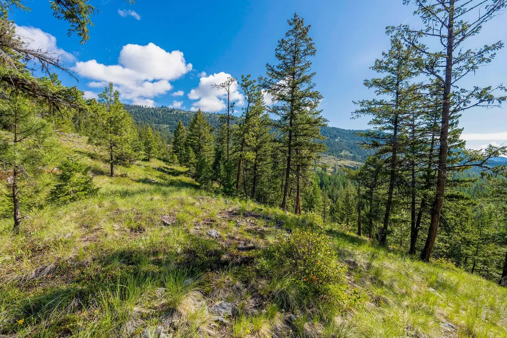 Nhn Idaho Hill Road Marion MT 59925