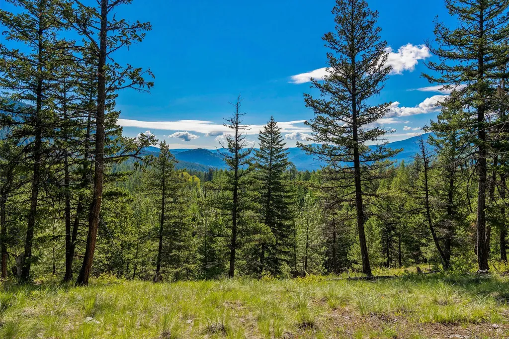 Nhn Idaho Hill Road Marion MT 59925