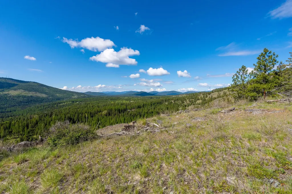 Nhn Idaho Hill Road Marion MT 59925
