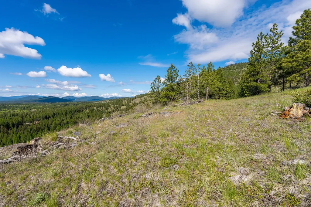 Nhn Idaho Hill Road Marion MT 59925