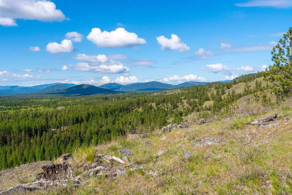 Nhn Idaho Hill Road Marion MT 59925